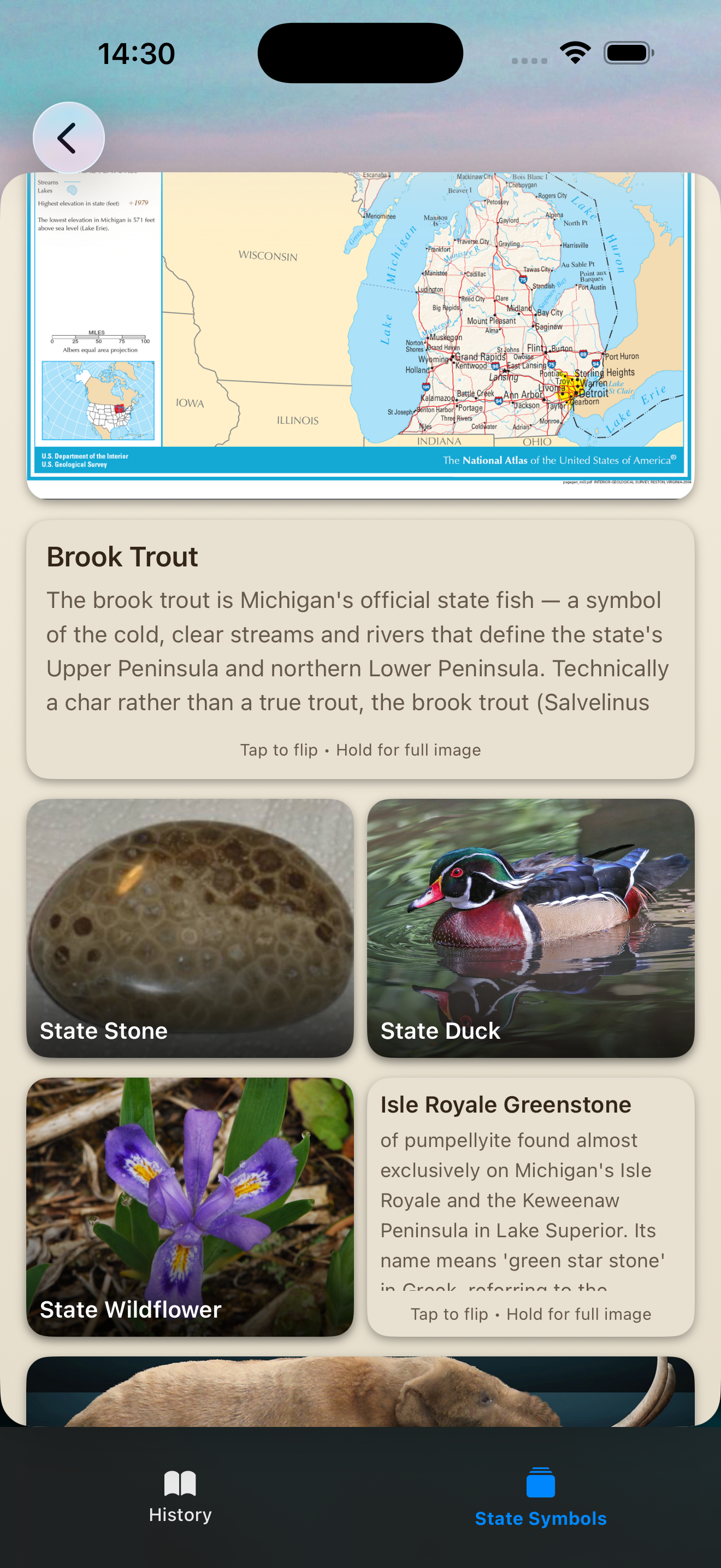 State snapshot