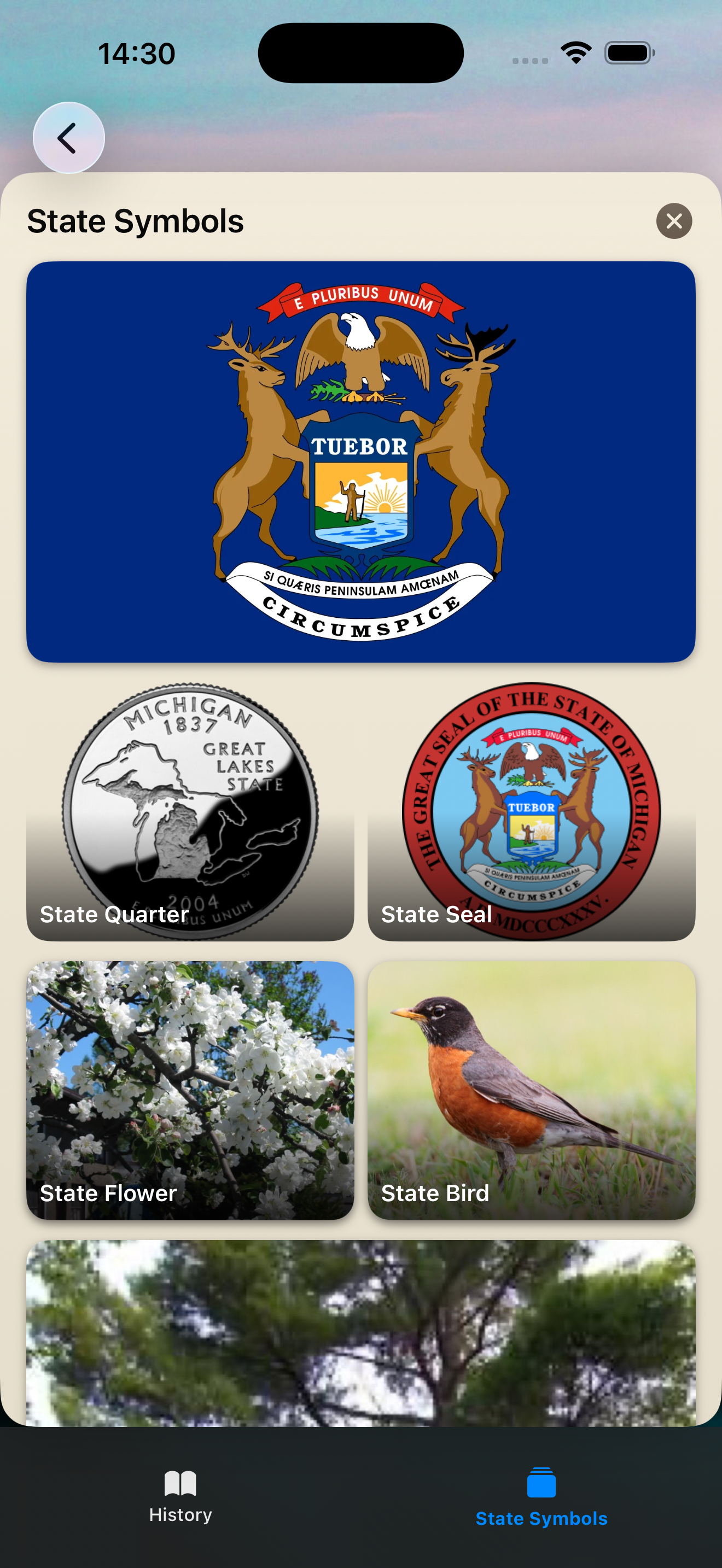 State symbols